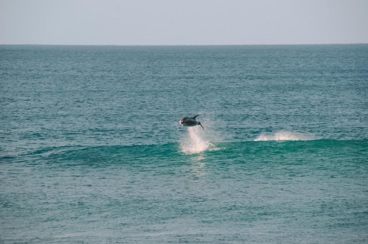 Aotearoa Surf Eco Pods Hotel Te Arai Bagian luar foto